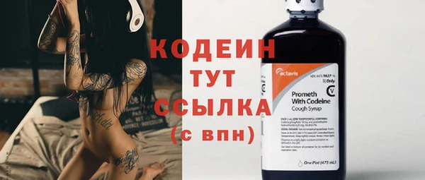крисы Арсеньев
