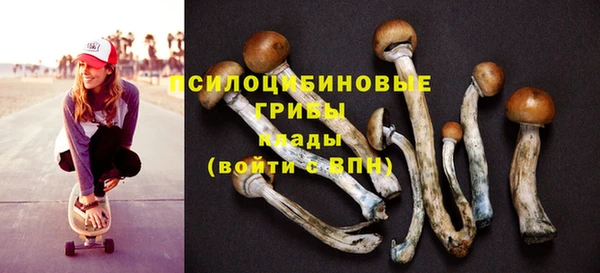 крисы Арсеньев