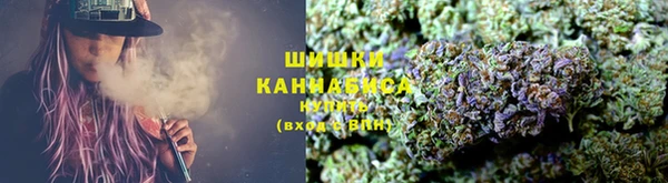 крисы Арсеньев