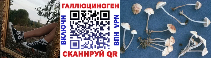 Галлюциногенные грибы ЛСД  Минусинск 