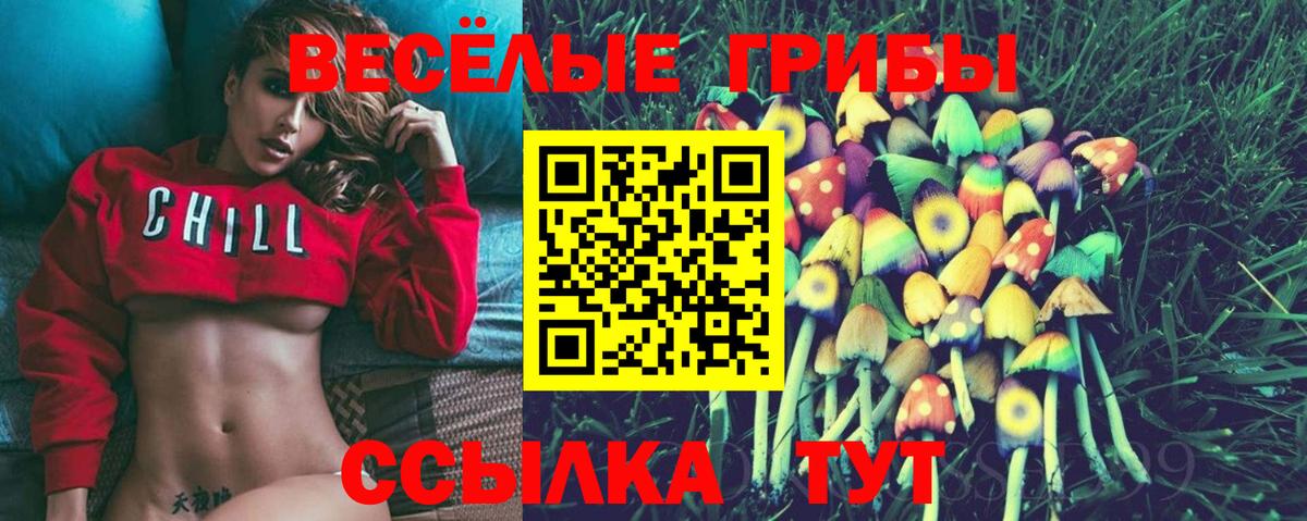 Галлюциногенные грибы ЛСД  Вход с VPN  Галлюциногенные грибы Magic Shrooms  Минусинск 
