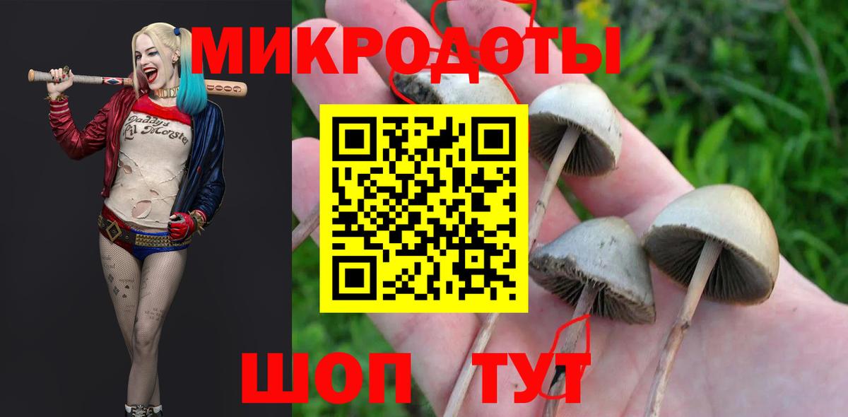 Псилоцибиновые грибы MAGIC MUSHROOMS Минусинск